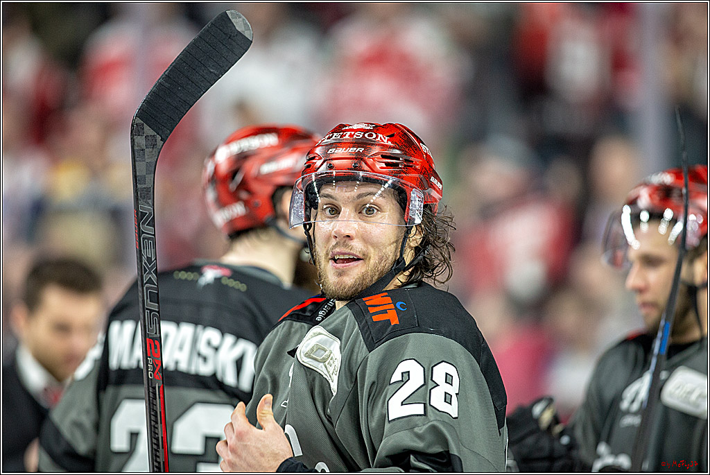 DEL; Koelner Haie - Fischtowns Pinguins Bremerhaven, 24.01.2019